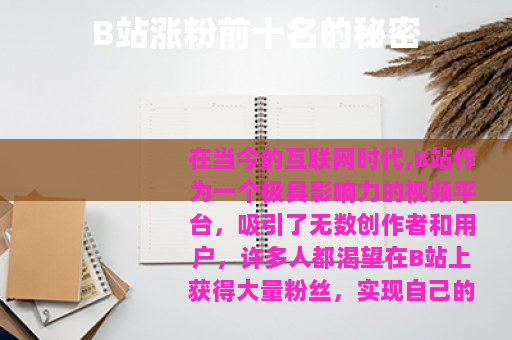 B站涨粉前十名的秘密