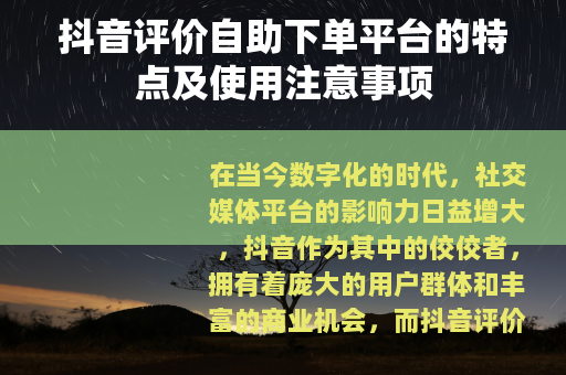 抖音评价自助下单平台的特点及使用注意事项