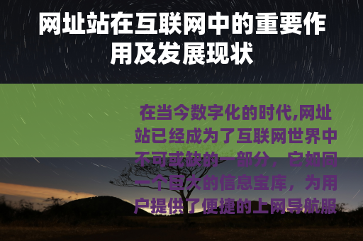 网址站在互联网中的重要作用及发展现状