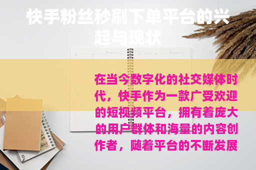 快手粉丝秒刷下单平台的兴起与现状