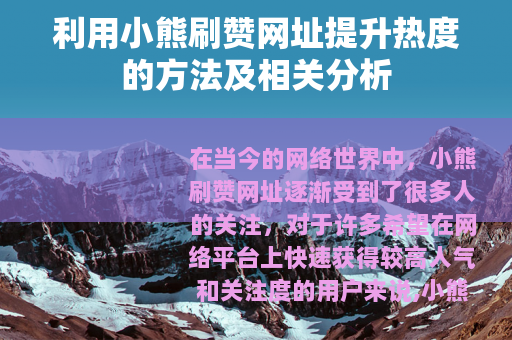 利用小熊刷赞网址提升热度的方法及相关分析