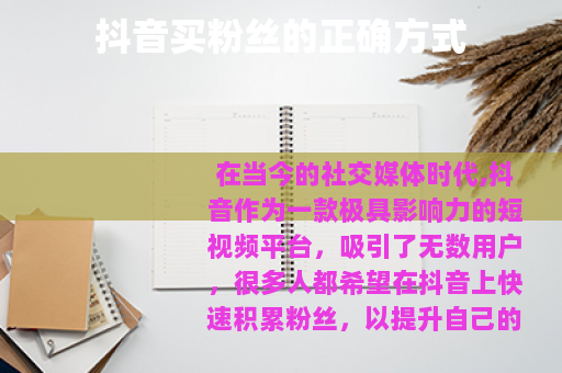 抖音买粉丝的正确方式