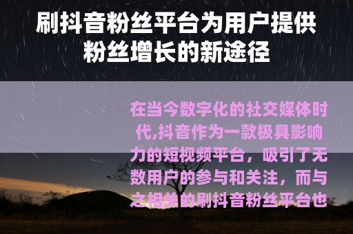 刷抖音粉丝平台为用户提供粉丝增长的新途径