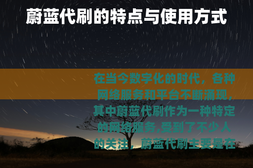 蔚蓝代刷的特点与使用方式