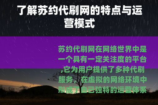了解苏约代刷网的特点与运营模式