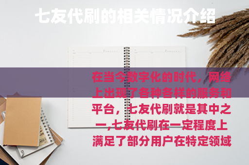 七友代刷的相关情况介绍