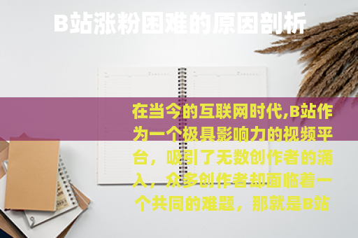 B站涨粉困难的原因剖析