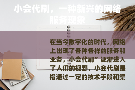 小会代刷，一种新兴的网络服务现象