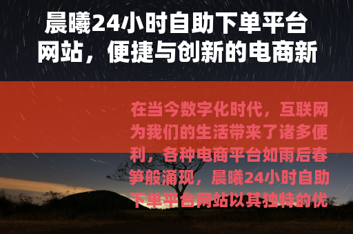 晨曦24小时自助下单平台网站，便捷与创新的电商新体验