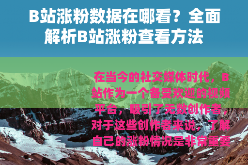 B站涨粉数据在哪看？全面解析B站涨粉查看方法