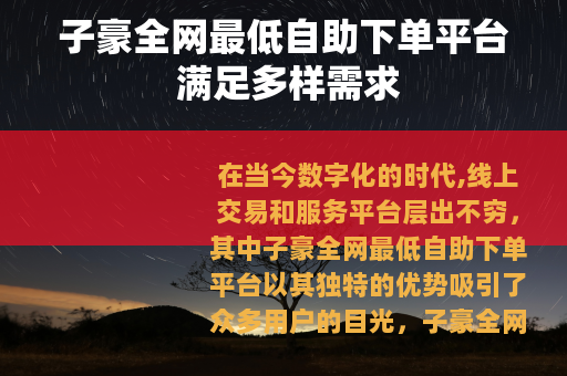 子豪全网最低自助下单平台 满足多样需求