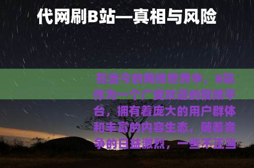 代网刷B站—真相与风险