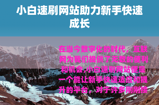 小白速刷网站助力新手快速成长