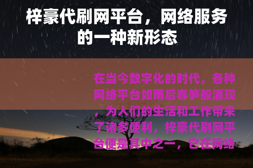 梓豪代刷网平台，网络服务的一种新形态