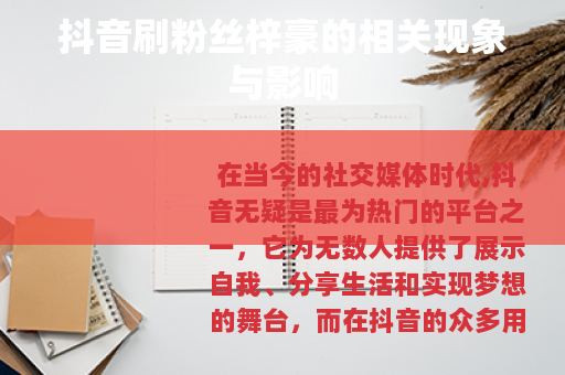 抖音刷粉丝梓豪的相关现象与影响