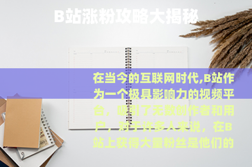 B站涨粉攻略大揭秘