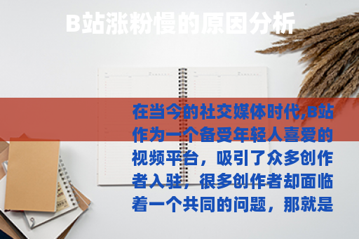 B站涨粉慢的原因分析