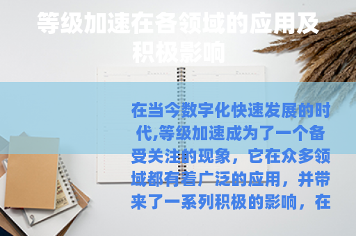 等级加速在各领域的应用及积极影响