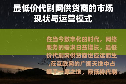 最低价代刷网供货商的市场现状与运营模式