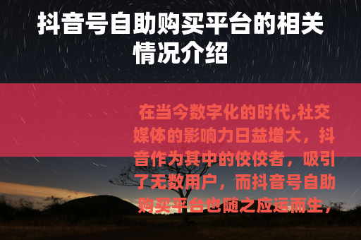 抖音号自助购买平台的相关情况介绍