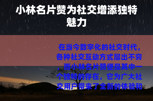 小林名片赞为社交增添独特魅力