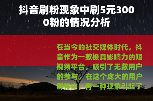 抖音刷粉现象中刷5元3000粉的情况分析