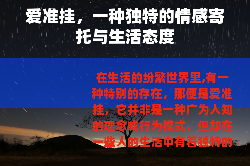 爱准挂，一种独特的情感寄托与生活态度