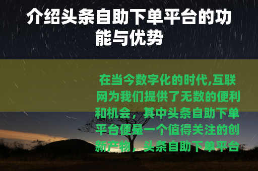介绍头条自助下单平台的功能与优势