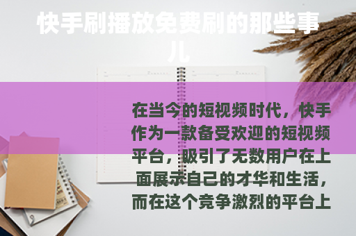 快手刷播放免费刷的那些事儿