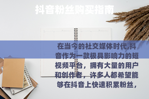 抖音粉丝购买指南