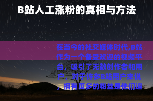 B站人工涨粉的真相与方法