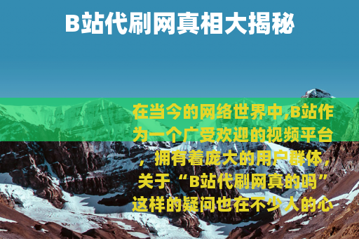 B站代刷网真相大揭秘