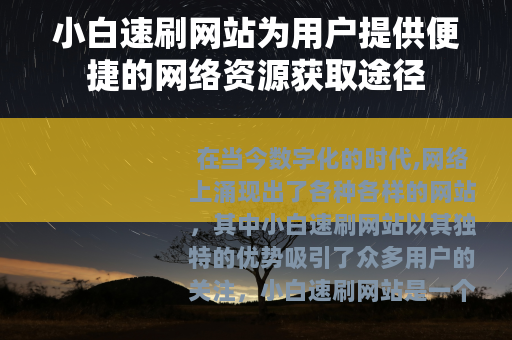 小白速刷网站为用户提供便捷的网络资源获取途径