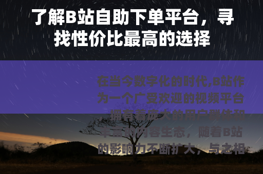 了解B站自助下单平台，寻找性价比最高的选择