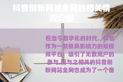 抖音刷粉网站全网的相关情况介绍