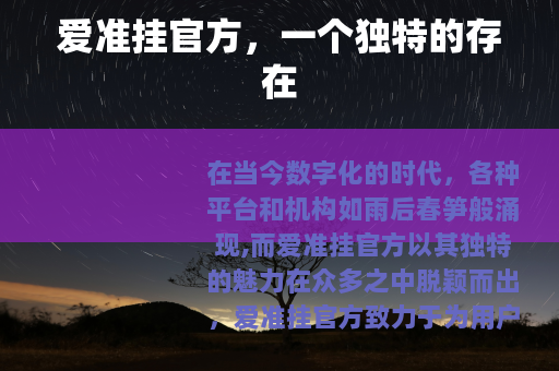 爱准挂官方，一个独特的存在