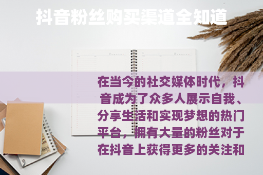 抖音粉丝购买渠道全知道