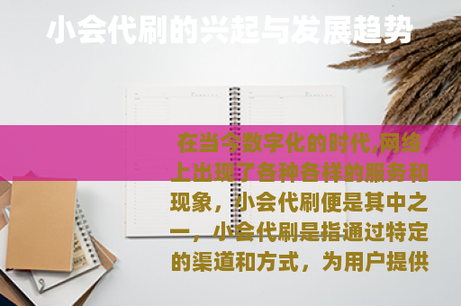 小会代刷的兴起与发展趋势