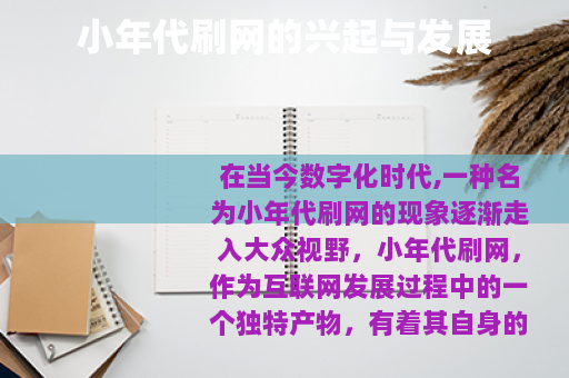 小年代刷网的兴起与发展