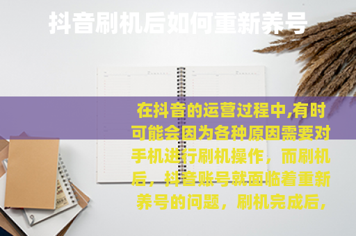 抖音刷机后如何重新养号