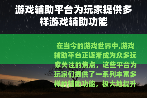 游戏辅助平台为玩家提供多样游戏辅助功能