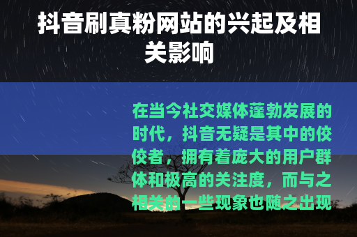 抖音刷真粉网站的兴起及相关影响