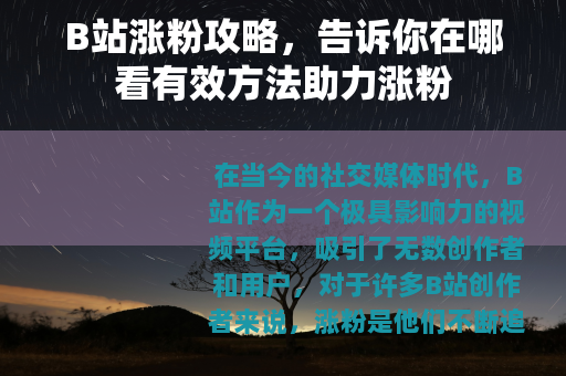 B站涨粉攻略，告诉你在哪看有效方法助力涨粉
