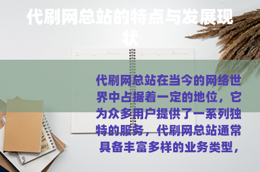 代刷网总站的特点与发展现状