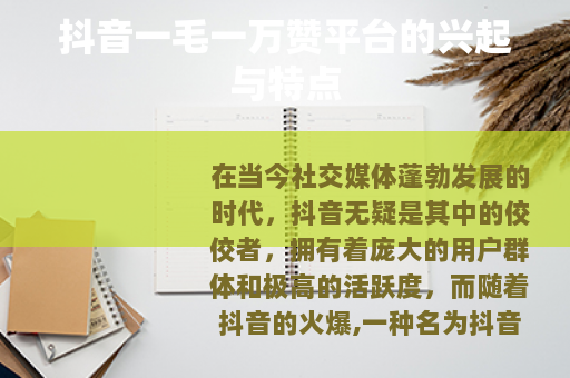 抖音一毛一万赞平台的兴起与特点