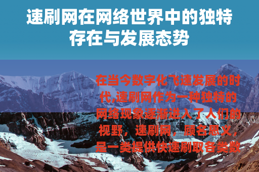 速刷网在网络世界中的独特存在与发展态势