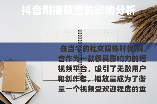 抖音刷播放量的影响分析