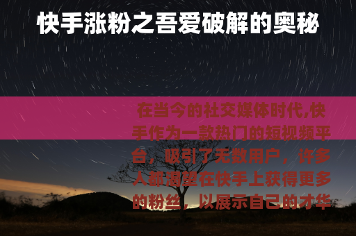 快手涨粉之吾爱破解的奥秘
