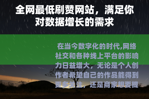 全网最低刷赞网站，满足你对数据增长的需求
