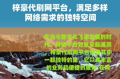 梓豪代刷网平台，满足多样网络需求的独特空间